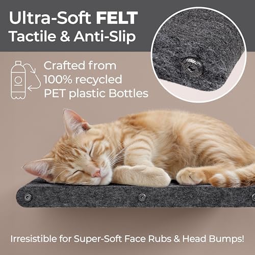 Cat Wall Shelf - Indoor & Outdoor by Pryde Pets - Image 2