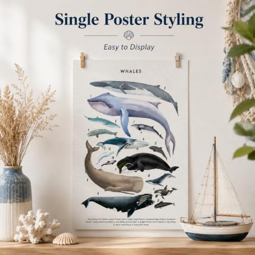 PeuYot Marine Life Wall Art, Unframed Canvas Posters, Vintage Sea Turtle Whale - Image 5