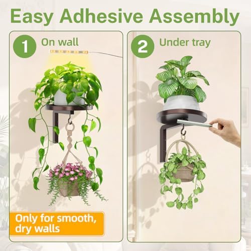iDavosic.ly Plant Wall Hanger - Image 6