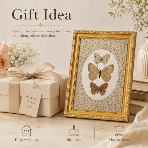 Vintage Butterfly Specimen Wall Art - Image 7