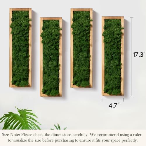 Mokof Preserved Moss Wall Art Decor, Forest Green, 4 Pack - Image 3