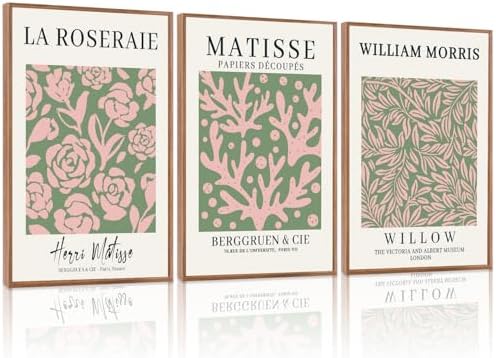 HLNIUC Matisse Picasso Framed Wall Art, Neutral Pink Green Flower Canvas Wall by HLNIUC