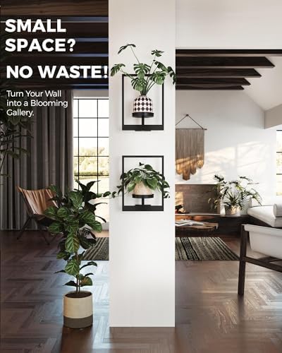 Bamworld Wall Plant Holder Plant Stand Indoor Wall Planters Black - Image 3