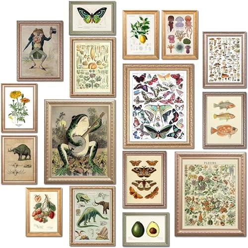 LANCHI95 16 Pcs Unframed Vintage Botanical Biology Art by LANCHI95