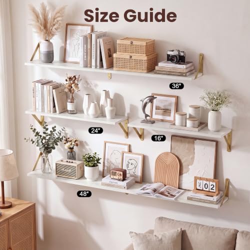 6 Inch Deep Wall Shelves 16 x 6 Set of 2 - Image 6