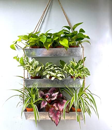 LaLaGreen Hanging Wall Planter Black Metal Succulent Herb by L%C3%A1L%C3%A1Green