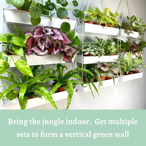 LaLaGreen Boho Wall Planter White Succulent Herb Garden - Image 3
