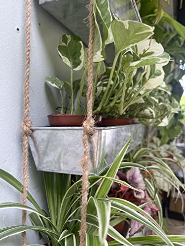 LaLaGreen Hanging Wall Planter Black Metal Succulent Herb - Image 3