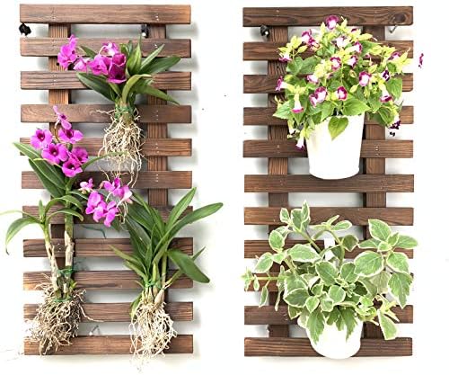 ShopLaLa Wall Planters Wooden Planter by ShopLaLa