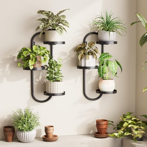 Laposso Window Plant Shelves Indoor Outdoor Wall Planters by Laposso