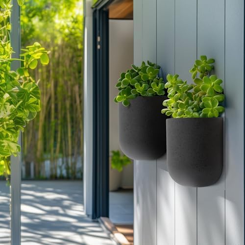 LA Jolie Muse Wall Planters for Indoor Plants, Hanging Flower Pots, 2 Pack - Image 6