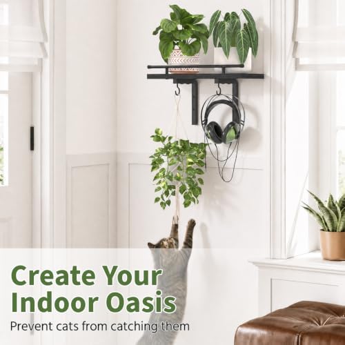 LASZOLA Wall Plant Shelves Floating Hanger Holder Indoor - Image 5
