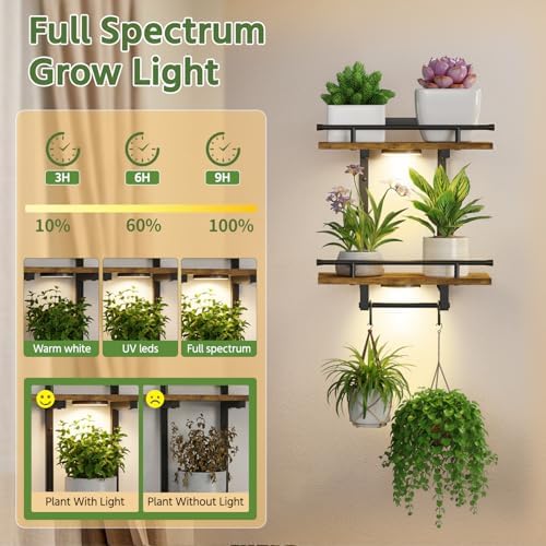 LASZOLA Floating Plant Shelves Holder Wall Indoor - Image 3