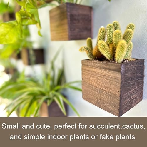 LaLaGreen Wood Planter Box Small Square Indoor Wall Planters - Image 4