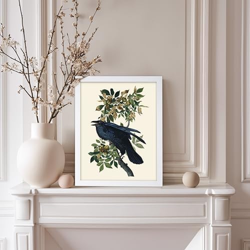 Poster Master Vintage John James Audubon Poster - Image 5