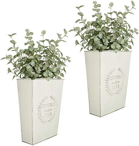 LESEN Set of 2 Farmhouse Metal Wall Planter, Rustic Wall Decor Country Hanging by LESEN