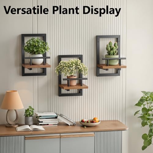 Sbosbo Floating Shelves for Wall Plant Shelf - Image 6