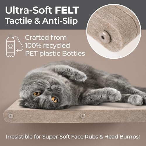 Cat Wall Shelf - Indoor & Outdoor by Pryde Pets - Image 2