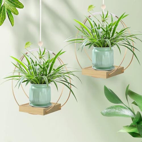 hismocal Hanging Planter for Indoor Plants, Plant Hanger - Image 6