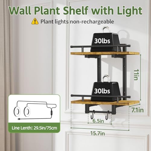 LASZOLA Floating Plant Shelves Holder Wall Indoor - Image 2