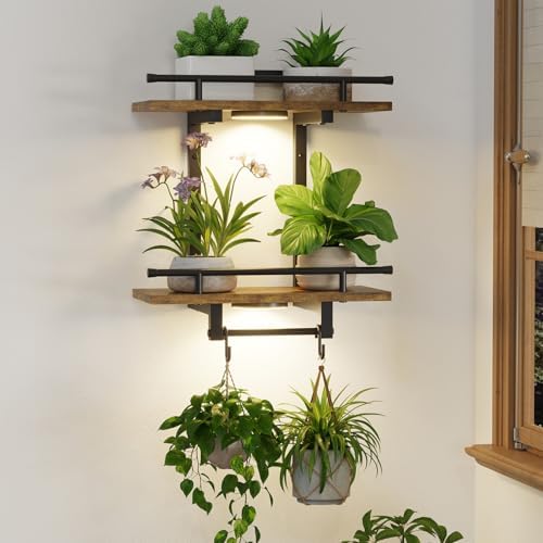 LASZOLA Floating Plant Shelves Holder Wall Indoor by LASZOLA