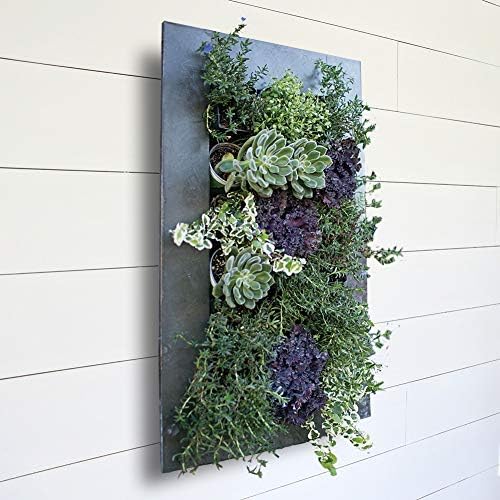 Modern Home Living Wall Galvanized Steel/Zinc Succulent Planter, Wall Mounted - Image 5