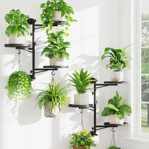 iDavosic.ly Wall Plant Holder Set of 2, Rotating Window Shelf, 3-Tier Black by iDavosicly
