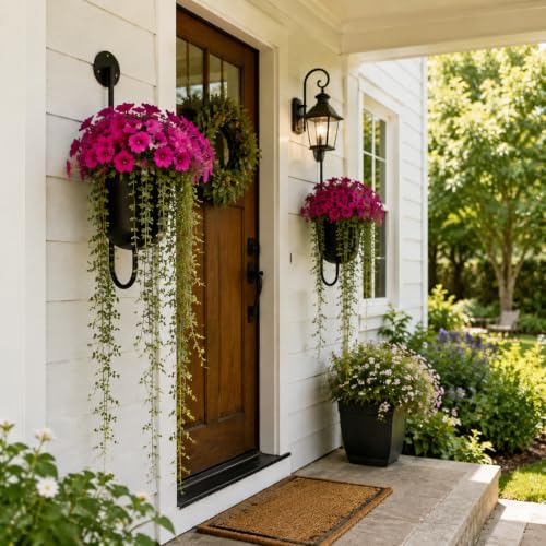 3 Pack Wall Mounted Plant Holders, Metal Hanging Planters & Wall Plant Decor - Image 2