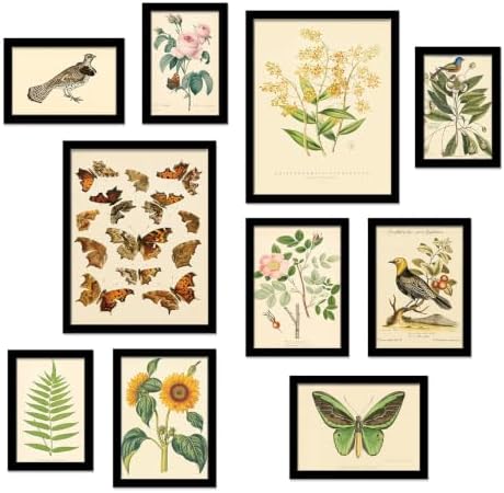 A ART·ZONE Vintage Botanical Butterfly Bird Prints Unframed 10Pcs Poster by AART%C2%B7ZONE