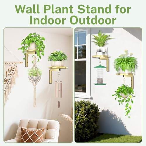 iDavosic.ly Plant Wall Hanger Holder Set of 2 - Image 5