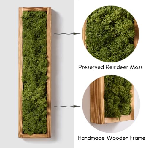 Mokof Preserved Moss Wall Art Decor, Moss Green, 2 Pack - Image 4