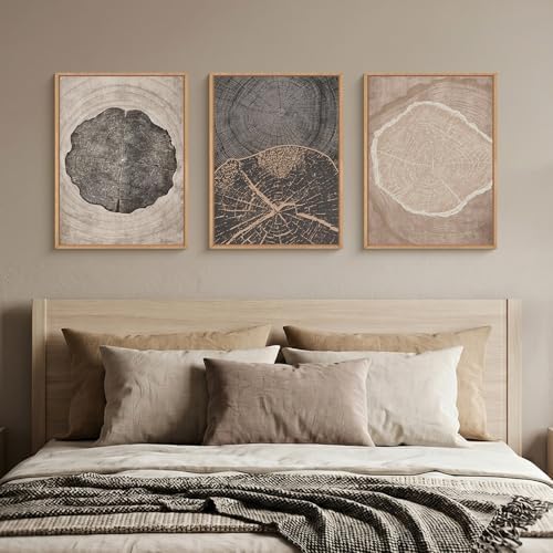 HOURIA Tree Ring Abstract Neutral Brown Framed Canvas Wall Art Set, Mid Century - Image 5
