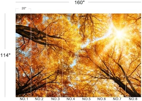 Warm Golden Autumn Tree Canopy Sun Glow Wallpaper Peel Stick - Image 5
