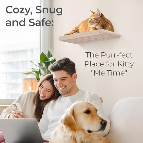 Cat Wall Shelf - Indoor & Outdoor by Pryde Pets - Image 3