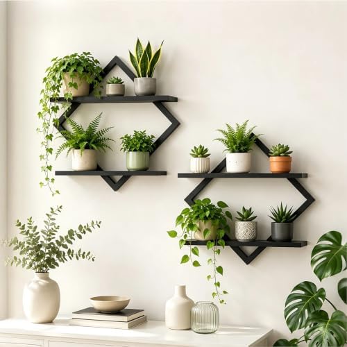 2 Pack Wall Planters for Indoor Plants by Hoolicute