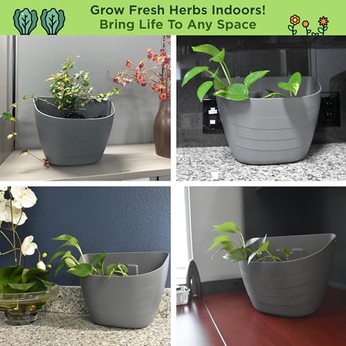 12 Inch Self-Watering Wall Planter - Image 5