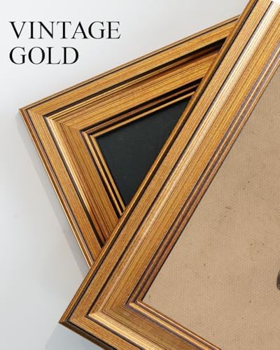 VIYYIEA Vintage Gold Framed Wall Art, Moody Butterfly Artwork, 12X16 Inch - Image 6