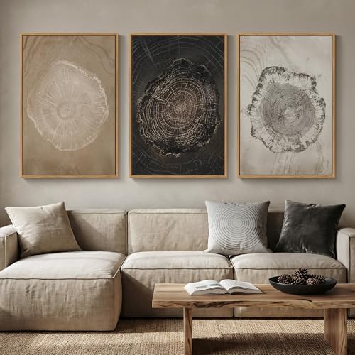 3 Piece Large Framed Neutral Tree Ring Wall Art by MXART