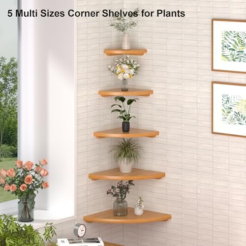 Floating Corner Shelves for Wall Set 2 10inch Solid Oak Rounded Corner Shelves - Image 5