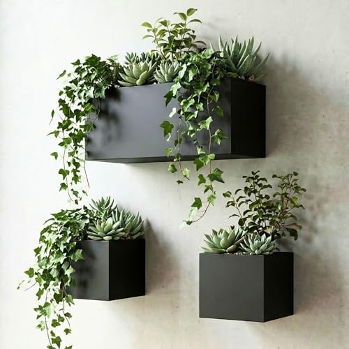 LaLaGreen Wall Planters Rectangular Wall Mounted Hanging Flower Boxes by L%C3%A1L%C3%A1Green