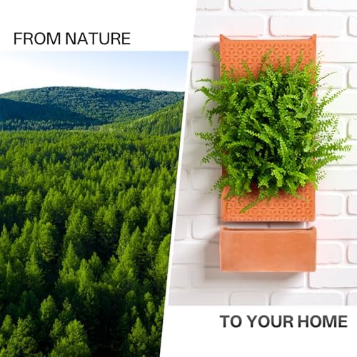 dadop Terracotta Self Watering Wall Pots - Image 7