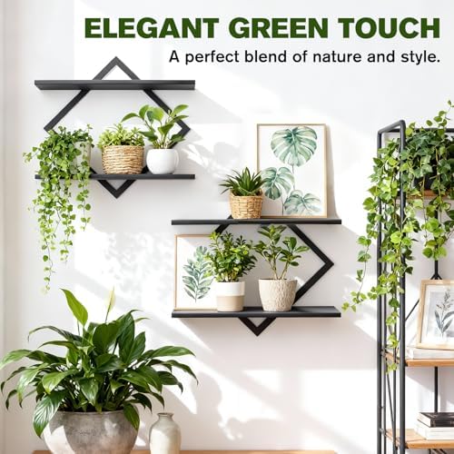 2 Pack Wall Planters for Indoor Plants - Image 5