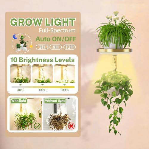 iDavosic.ly Plant Wall Hanger - Image 3