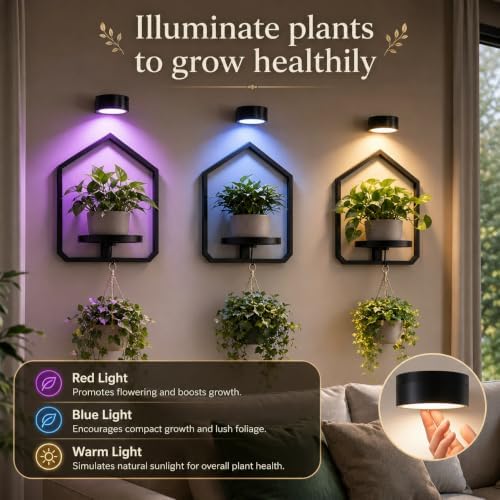 2 Pack Wall Mounted Plant Shelf - Image 2