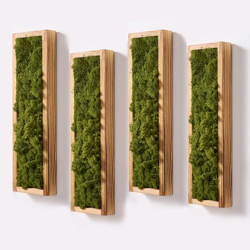 Mokof Preserved Moss Wall Art Decor, Moss Green, 4 Pack by Mokof