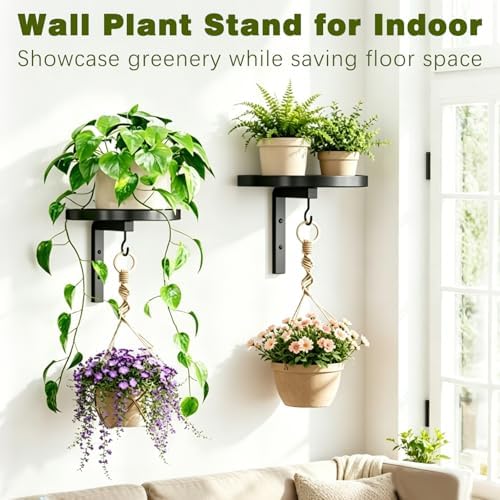 Plant Hanger Holder Window Shelf Wall Mounted Indoor - Image 3