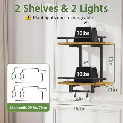 LASZOLA Floating Plant Shelves Holder Wall Indoor - Image 2