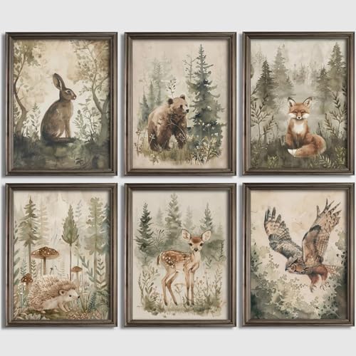 Pouydmi Woodland Animal Wall Art Nursery Canvas Wall Decor Forest Animal Poster by Unknown