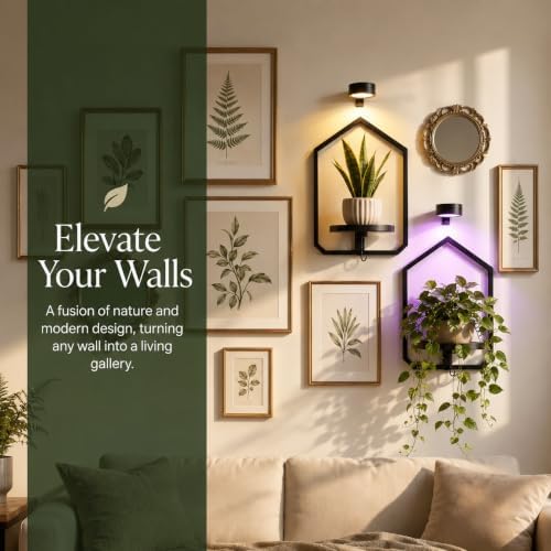 2 Pack Wall Mounted Plant Shelf - Image 3