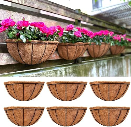LaLaGreen Wall Planter Black Metal Coco Liner Flower Pots by L%C3%A1L%C3%A1Green